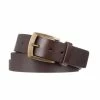 Wholesale ???? Globe Supply Belt Brown ⌛ -The Hundreds Shop Supply Belt Brown 800x